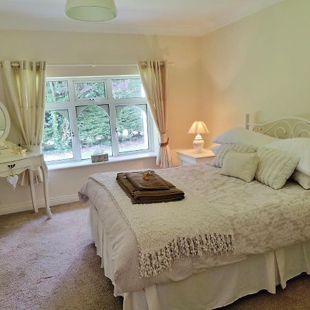 Rooms At Ballysax House The Curragh Eksteriør billede